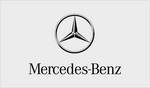 Mercedes supplier diversity #2